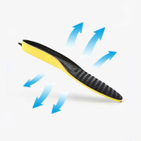 Heated Insole